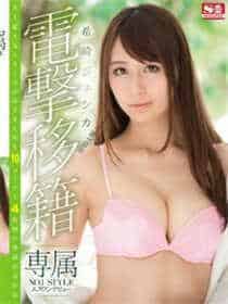 全国红楼信息资源