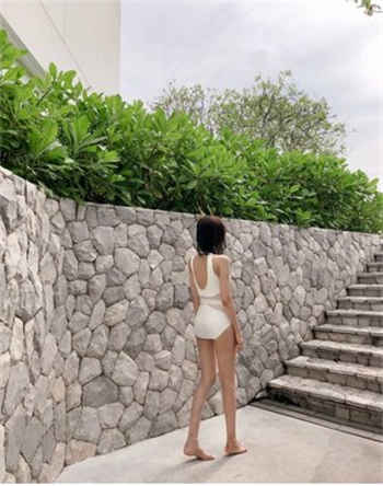 午时普通用户体验大象