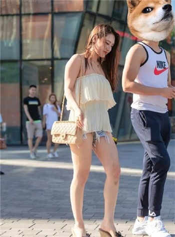 律师大人别惹我陆谨言洛心