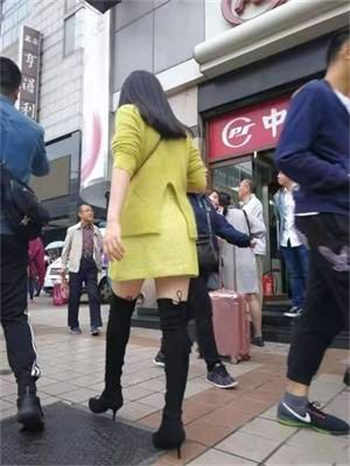 万界圣师系统