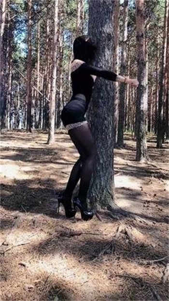 向日葵vip无限观影